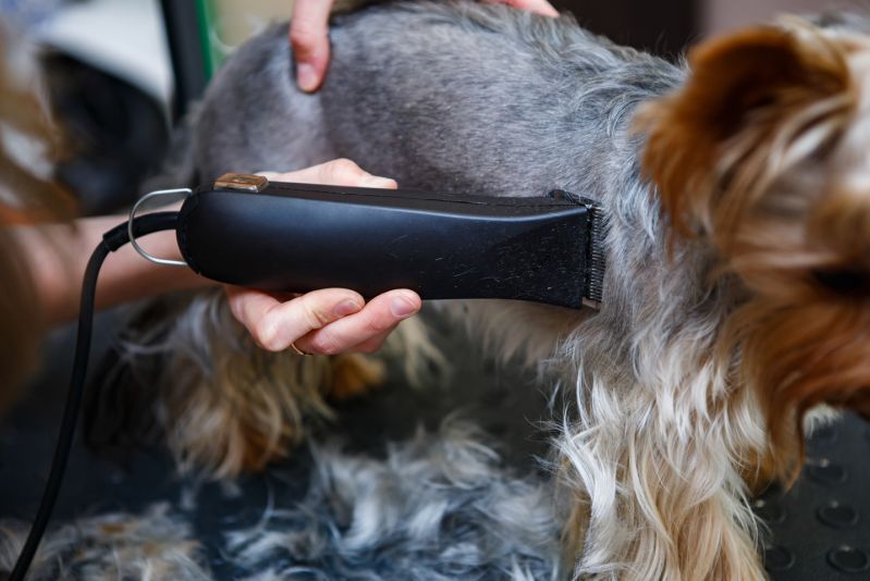 Clipper Sharpening Cumbria